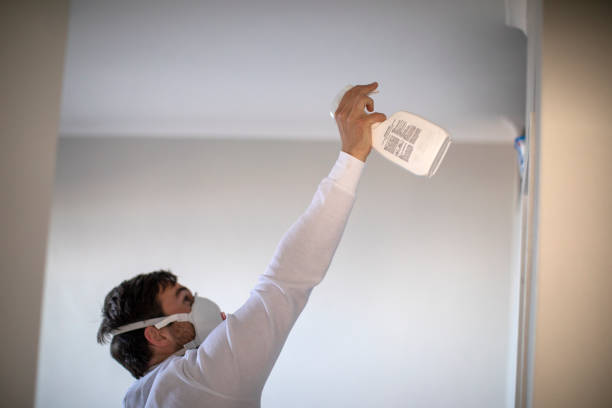 Best Attic Mold Removal  in Thousand Palms, CA